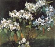 William Stott of Oldham White Rhododendrons Germany oil painting artist